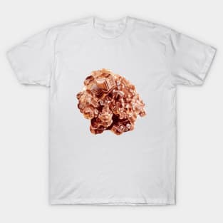 Garnet crystal T-Shirt